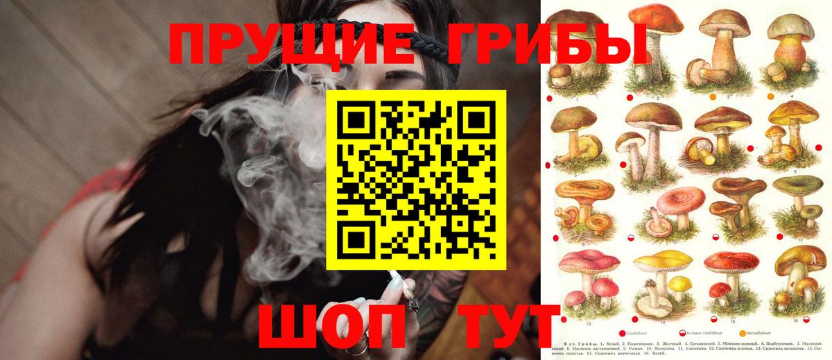 Псилоцибиновые грибы GOLDEN TEACHER  Галлюциногенные грибы Magic Shrooms  Десногорск  Вход с VPN 