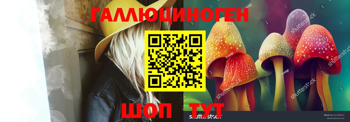 Псилоцибиновые грибы Psilocybine cubensis Десногорск